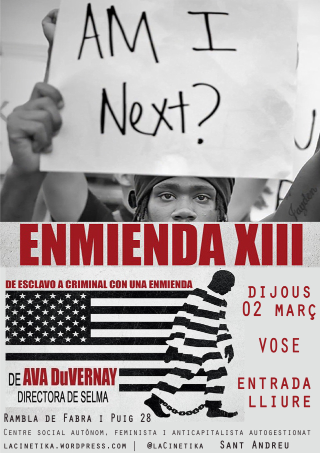 afiche de ENMIENDA 13