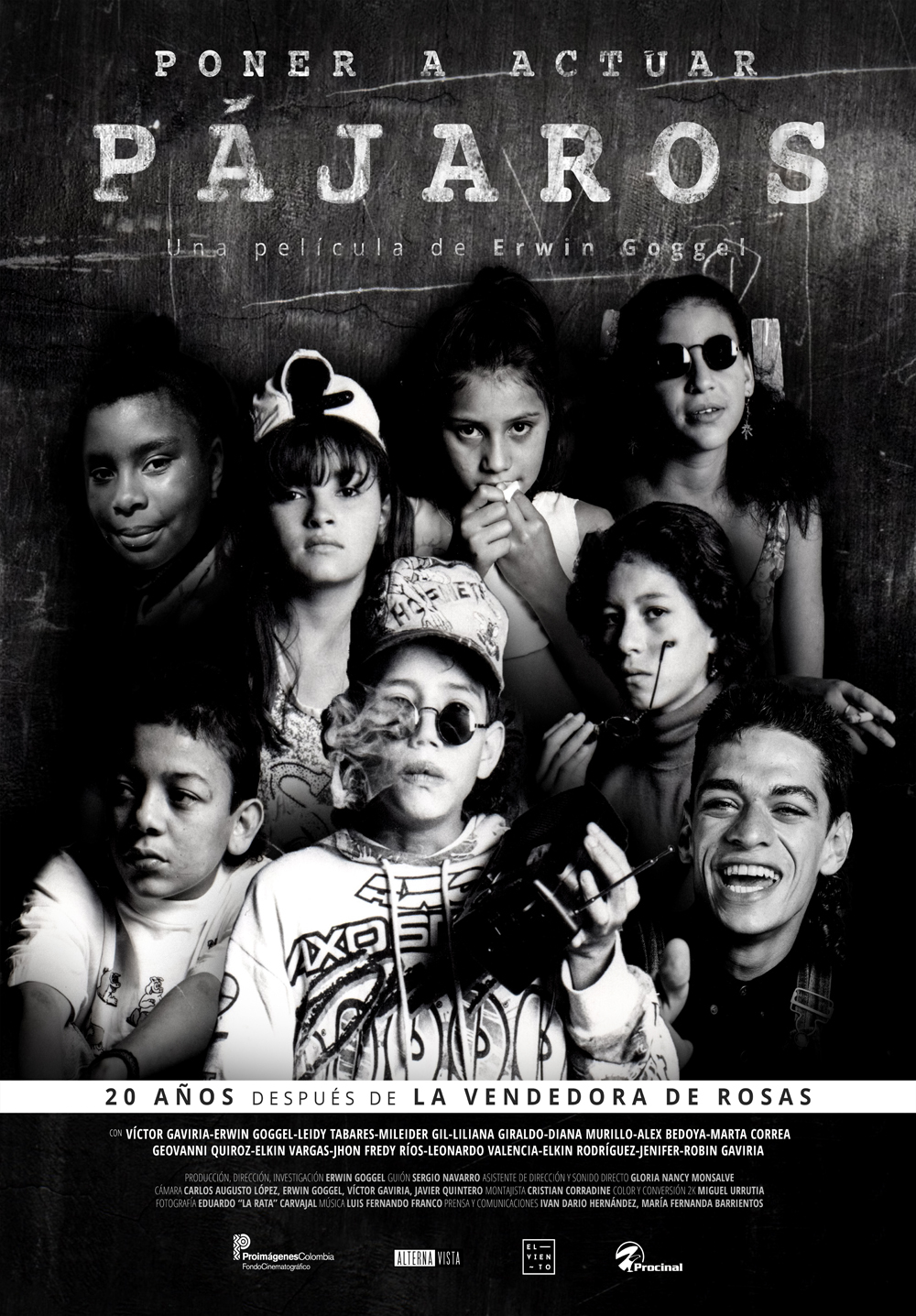 afiche de PONER A ACTUAR PÁJAROS