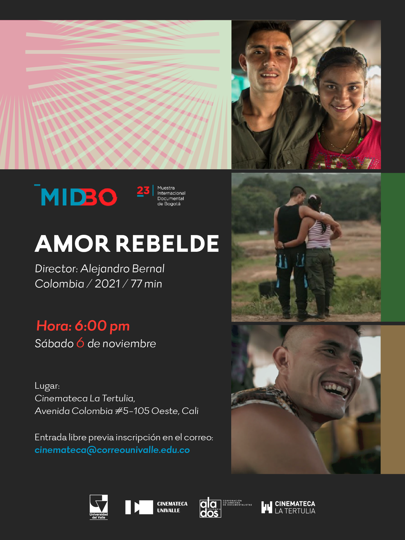 FICHE DE amor rebelde