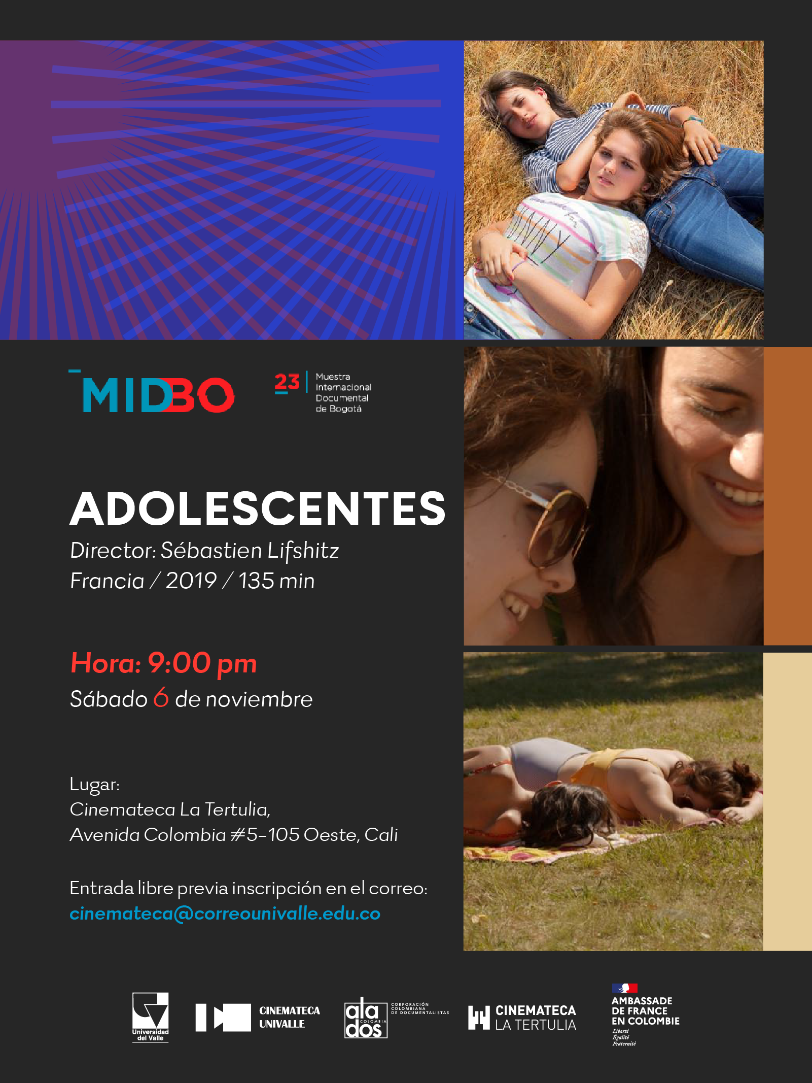 afiche de ADOLESCENTES