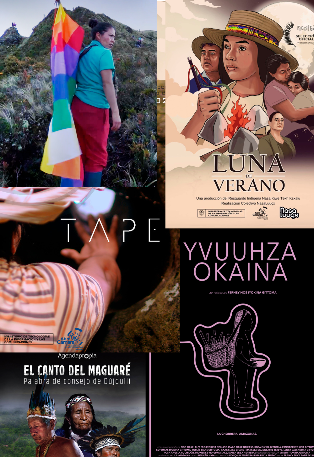 imagen de VANGUARDIAS INDÍGENAS