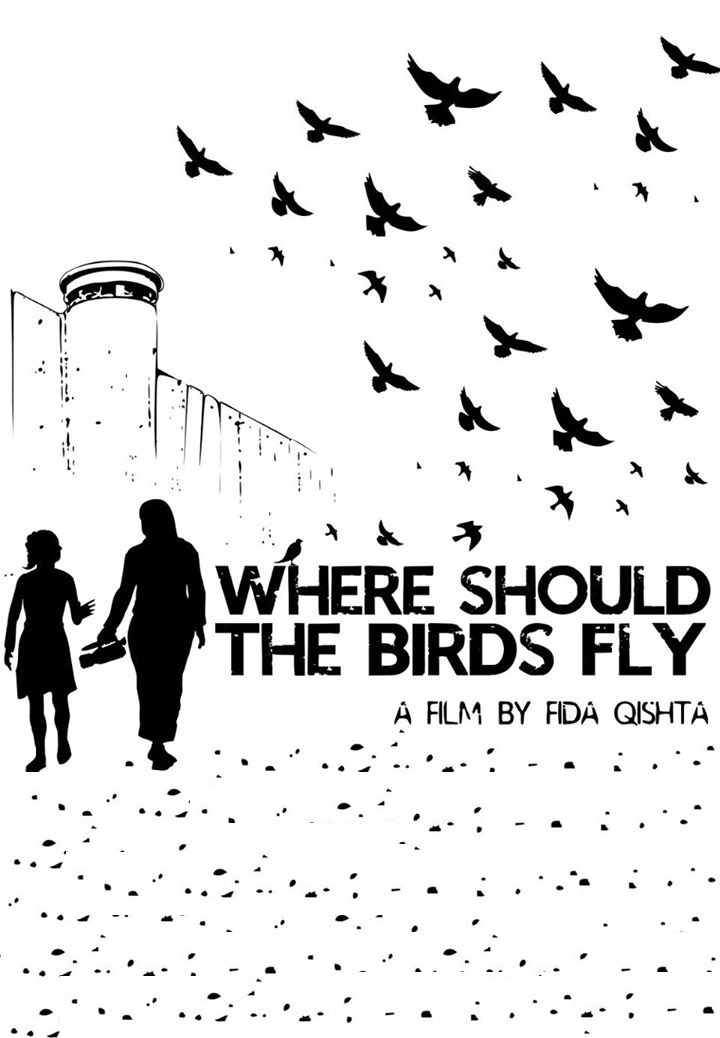 afiche de ¿A DONDE DEBERÍAN VOLAR LOS PÁJAROS?