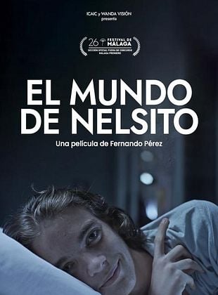 afiche de EL MUNDO DE NELSITO