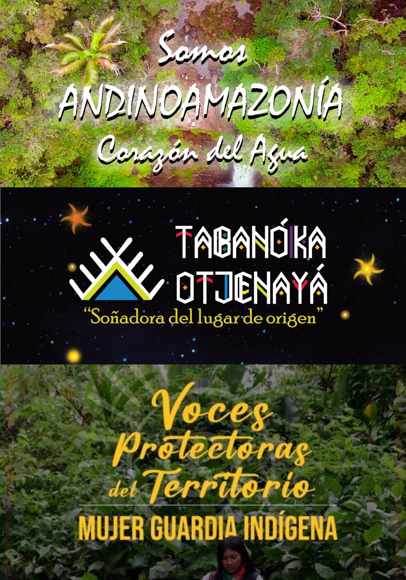 afiche de VANGUARDIAS INDÍGENAS